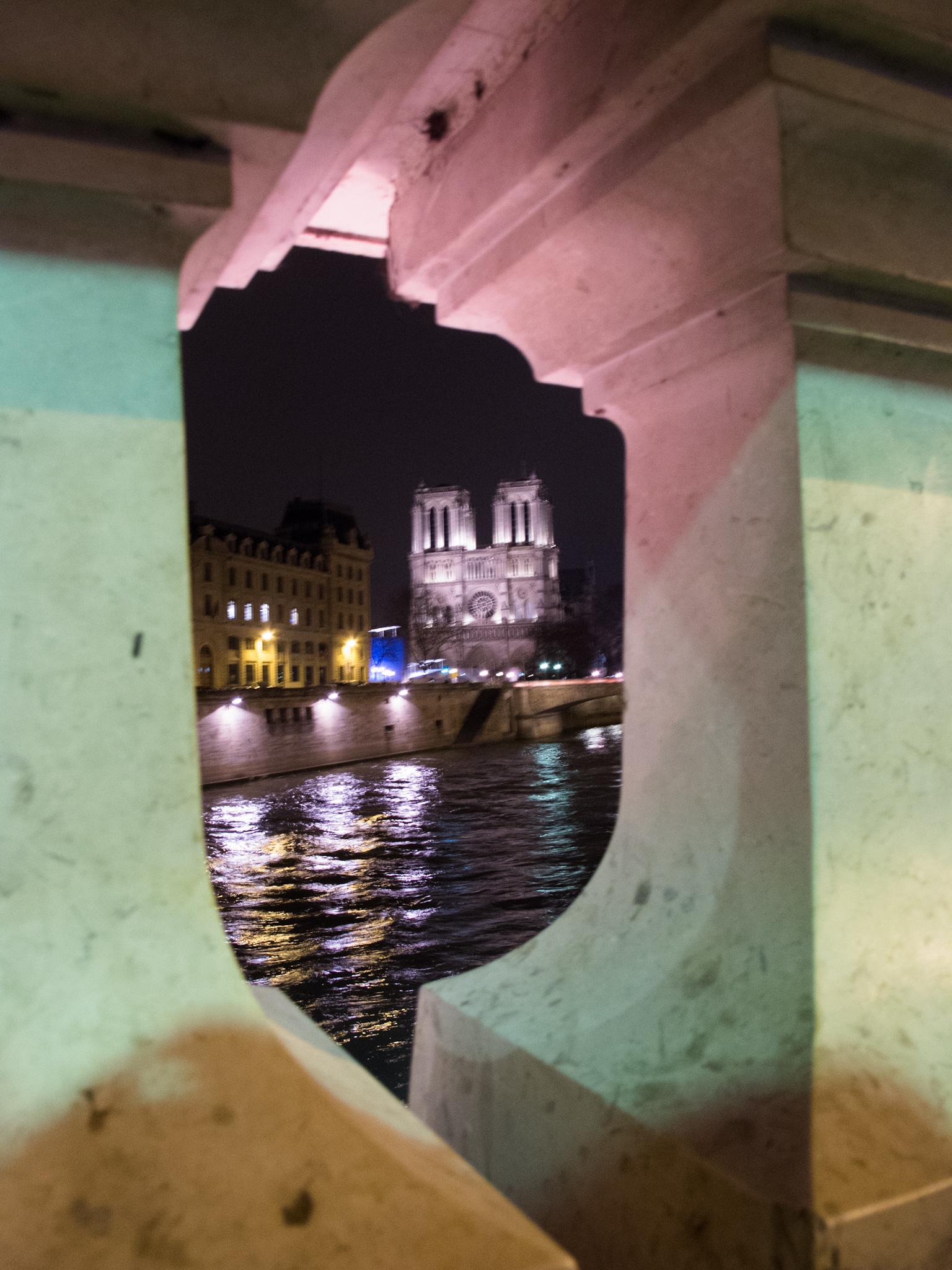 Notre Dame at night by Sharon Birke www.PowerfulGoddess.com