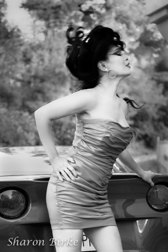 _S5A5005-EditRed-Corvette-Powerful-G0ddess-Sharon Birke