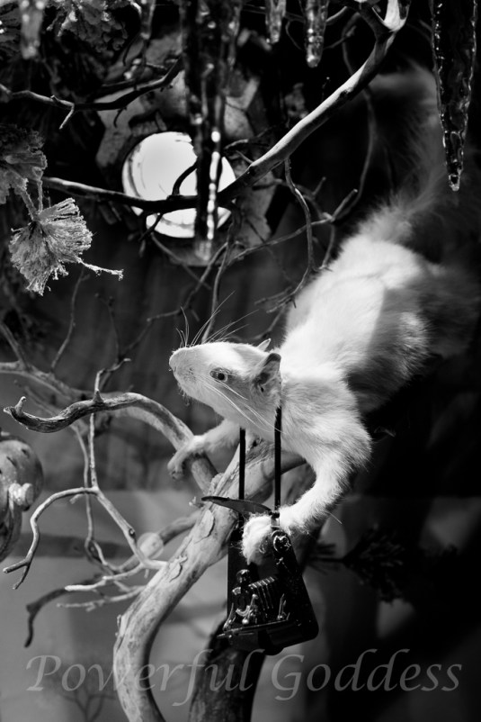 PC011003NYC-Bergdorf-Glamour-Boudoir-Portraits-Powerful-Goddess