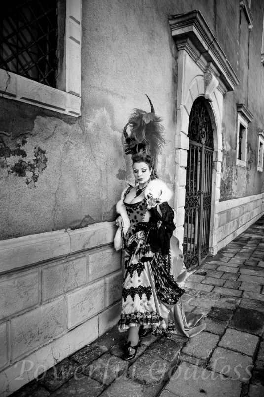 _S5A0598NYC-NJ-Glamour-Portraits-Period Costume-Venice-Carnival-Sharon-Birke