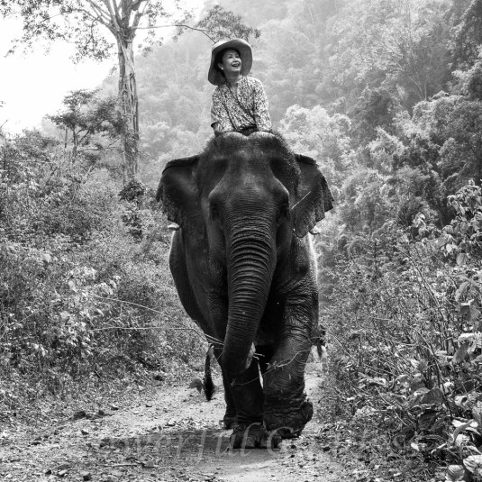 P1191547-Myanmar-Burma-Kalaw-Elephant-ride-Powerful-Goddess-Portraits-Sharon-Birke
