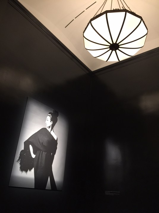 Jacqueline-de-Ribes-costume-Met-Museum-Sharon-Birke-portraits