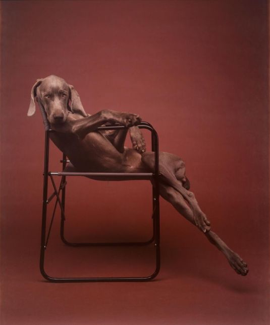 Wegman-Lolita-dog-Powerful-Goddess-Portraits