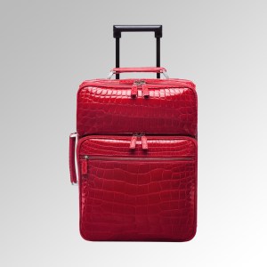 Tanthony-red-alligator-carryon-suitcase